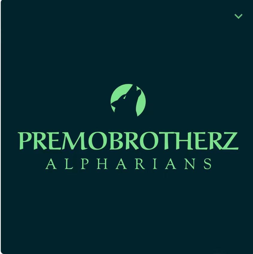 Premobrotherz LLC
